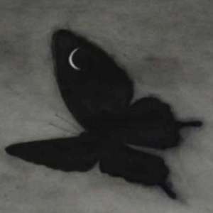 色999日韩欧美自拍
