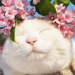 色999日韩欧美自拍
